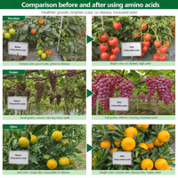 Fertilizante Foliar Orgánico Totalmente Soluble en Agua, a Base de Enzimas Vegetales, Hidrolizado, con 90% de Aminoácidos Libres, Sin Precipitación