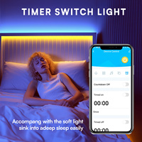 Bande LED RGB 24V pour Ambilight, guirlandes lumineuses en cuivre avec télécommande APP, IP44, pour chambre à coucher, salon