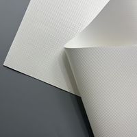 Lona de PVC Impermeable Personalizada, Resistente al Fuego, con Revestimiento de PVC 1000D, en Rollo