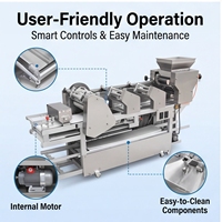 Machine à pâtes entièrement automatique avec système de dépoussiérage et d'empilage, haute capacité commerciale, 150-250 kg/h, 3000W, pour un gain de temps et une production efficace.