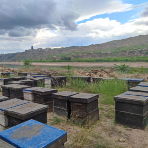 <span class=keywords><strong>Poudre</strong></span> de miel déshydratée naturelle en sachet, emballée en vrac, saveur pure améliorée, <span class=keywords><strong>poudre</strong></span> de miel pour aliments et boissons, arôme de miel naturel - Product Image 4