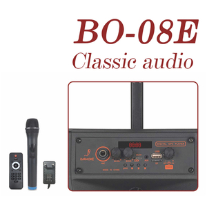 Altavoz Portátil Multifuncional Recargable Económico de 8 Pulgadas con Subwoofer RGB de 100W - Product Image 2