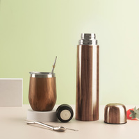 Ensemble complet de gyerba en acier inoxydable, Thermos moderne Mate gourde avec deux bombilles