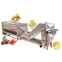 Commerciële Kleine Fruitverwerkingsmachine Nieuwe Staat Aardappelwasmachines Voor Taro Voor De Productie Van Zoete Snoep