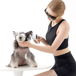 Dispositivo di terapia Laser portatile per animali Lllt 808nm 650nm per cani gatti sollievo dal dolore e recupero di infiammazione - Product Image 6