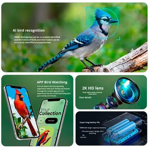 Nouvelle mangeoire automatique intelligente pour oiseaux, extérieure, étanche, avec reconnaissance IA, solaire, sans fil, équipement d'alimentation pour animaux avec bols, Chine, 1600g - Product Image 2