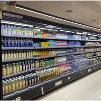 Vitrine Réfrigérée Ouverte Multi-Niveaux Réglable avec Refroidissement à Distance et Contrôle Numérique de la Température pour Fruits et Produits Laitiers en Supermarché