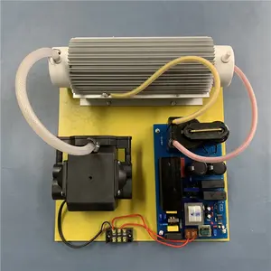 Individuelles 10 g 20 g/h einstellbares Schadwasseraufbereitungsausrüstung quarzrohr-Ozongenerator