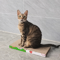 Panneau OEM bon marché d'usine Panneau à gratter interactif pour coin de chat Tampon à gratter en carton ondulé