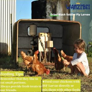 Fabricant d'œufs, complément alimentaire <span class=keywords><strong>pour</strong></span> poules pondeuses, nourriture <span class=keywords><strong>pour</strong></span> volailles avec acides gras oméga-3, enrichie en vitamines et minéraux - Product Image 2