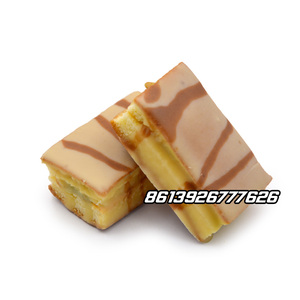 Ácido láctico, bacterias, Matcha, sabor a leche, pastel recubierto de chocolate - Product Image 4