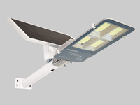 Chine IP65 étanche tout en un contrôleur de Charge de réverbère solaire 100W 200W 300W télécommande de haute qualité pour l'extérieur