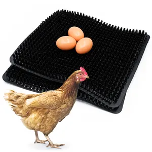 Tapis de nid d'œufs de poule durables, tapis en plastique pour volaille, poule, boîte de nid