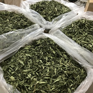 5011 تيان يي جو أوراق ستيفيا مجففة عالية الجودة للشاي - Product Image 5