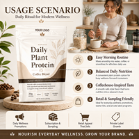 Mélange de café protéiné végétal quotidien OEM ODM, formule personnalisée, végétalien, sachet de 454g, fournisseur d'usine en gros