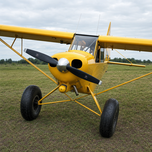 Avión Ligero <span class=keywords><strong>Piper</strong></span> PA-18 Super Cub, 2300 Horas de Vuelo Total, Motor Único de Pistón, Avión STOL en Venta - Product Image 5