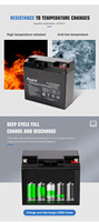 Paket Baterai Lithium Ion Phosphate Neata LiFePO4 LFP 12.8V 20Ah 24Ah Baterai LiFePO4 12V