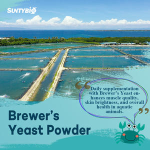 Fabbrica Della cina lievito di Birra in anguilla feed - Product Image 6