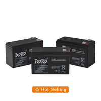 Batterie au plomb scellée rechargeable TOYO 12V 7Ah UPS Longue Durée 200Ah Cycle Profond AGM Gel pour Stockage Solaire et Énergie