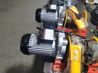 Mini-grue électrique 220V, nouvelle grue de levage domestique et extérieure pour la construction, support de levage pour céréales et briques