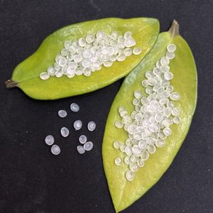 <b>PP</b> Polypropylene Granules Raw Granules China Factory Granules Best Price - Product Image 5