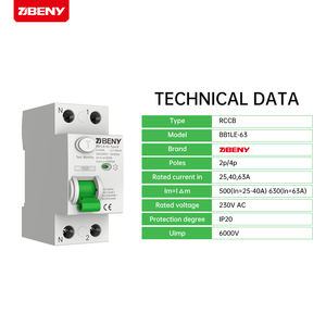 Disjoncteur différentiel BENY 63A 2P AC (RCCB) BB1LE-63, capacité de coupure 10KA, garantie 5 ans - Product Image 2