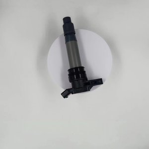 中国制造的点火线圈 - Product Image 4