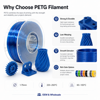Filamen Printer 3D PETG 1kg 1.75mm 2.85mm Gulungan Plastik Vakum untuk Pencetakan FDM Suku Cadang Fungsional OEM Grosir