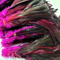 Plumes de queue de coq teintes de haute qualité, plumes de poulet colorées de 15 à 45 cm pour les décorations de carnaval et la couture de vêtements