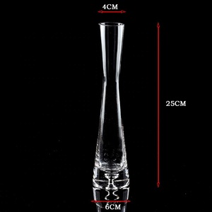 Bán Sỉ Bình Hoa Thủy Tinh Trong Suốt Trang Trí Bàn Bình Vành Nghiêng Trang Trí Nhà Cửa Bằng Thủy Tinh - Product Image 6