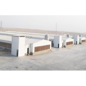 Nave moderna de estructura de acero para granja avícola, gallinero ligero móvil para pollos de engorde, gallinero comercial móvil. - Product Image 5