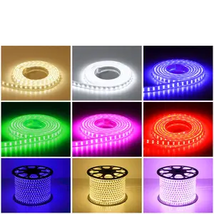 Outdoor Waterproof 220V Light Strip 5050 Variable Color RGB Patch Flexible LED Light Strip