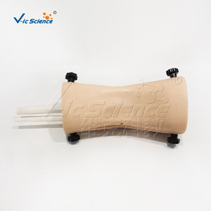 Modèle d'arthroscopie du genou ; Modèle pédagogique et de formation Vic Education - Product Image 3