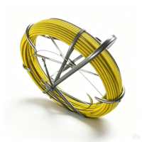 Câble électrique en fibre de verre 9MM Cage and Stand Duct Rodder 30m