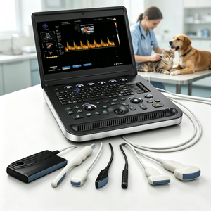 <span class=keywords><strong>เครื่อง</strong></span>อัลตราซาวนด์ทางการแพทย์แบบพกพา G-801 3D 4D คัลเลอร์ดอปเปลอร์ สำหรับโรคหัวใจ/<span class=keywords><strong>เครื่อง</strong></span>อีโคดอปเปลอร์ - Product Image 1