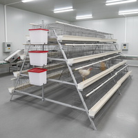 Nouvel équipement agricole : Cages à poulets en acier galvanisé à chaud, poulaillers mobiles pour poules pondeuses, grande capacité, longue durée de vie