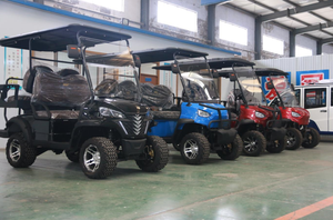 รถกอล์ฟแบบกำหนดเอง 6 ที่นั่ง พร้อมเบาะนั่งระดับพรีเมียม - Product Image 6