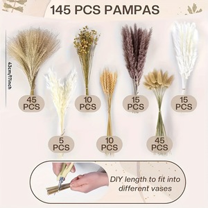 Ramo de Hierbas Secas Mixtas: Pampas, Trigo, <span class=keywords><strong>Avena</strong></span> y Plumas de Conejo <span class=keywords><strong>para</strong></span> Decoración Boho del Hogar y Arreglos Florales de Boda - Product Image 2