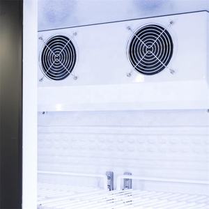 Congélateur commercial <span class=keywords><strong>vertical</strong></span> de refroidisseur d'affichage de boisson de bière de double porte en verre - Product Image 6