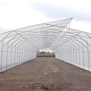 Invernaderos Agrícolas Dentados de Bajo Costo y Fácil Montaje con Estructura de Acero y Sistema de Ventilación para Cultivo de Plantas - Product Image 6