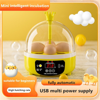 Couveuse à poussins domestique compacte, mini-incubateur intelligent entièrement automatique pour enfants, taux d'éclosion de 97%, transparente