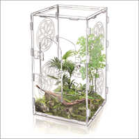 Enclos pour insectes et petits reptiles en acrylique de 11,8*6*6 pouces, habitat pour mantes religieuses, terrarium pour insectes, cage pour araignées sauteuses, accessoires