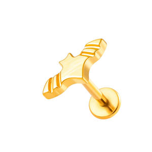 Hengsen G23, joyería <span class=keywords><strong>de</strong></span> <span class=keywords><strong>titanio</strong></span> a la moda, pendientes <span class=keywords><strong>de</strong></span> hélice <span class=keywords><strong>de</strong></span> <span class=keywords><strong>titanio</strong></span>, tachuelas F136, <span class=keywords><strong>Piercing</strong></span> <span class=keywords><strong>de</strong></span> <span class=keywords><strong>titanio</strong></span>, placa <span class=keywords><strong>de</strong></span> oro, pendientes planos para mujer - Product Image 2