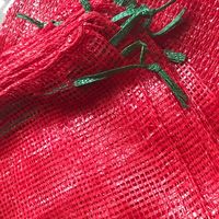 Landbouw Plastic Netzak Van Mesh Voor Uien/Aardappel 10Kg