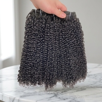Lot de Cheveux Brésiliens Vierges en Gros Grade 12A 15A, Extensions de Cheveux Humains Bruts Bouclés Pixie avec Cuticules Alignées, Échantillon Gratuit Disponible