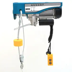 Sale price electric 100kg chain hoist with manufacturer price