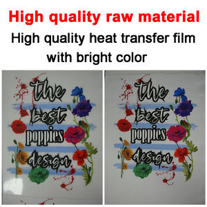 Offre Spéciale 24 "X 328 pieds DTF Pet <span class=keywords><strong>Film</strong></span> rouleau Pet <span class=keywords><strong>Film</strong></span> de transfert de chaleur pour impression DTF 60cm imprimante pour impression DTF - Product Image 6