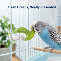 Accessoires pour cage à oiseaux : Pinces à légumes en plastique durables, fourchettes à fruits anti-déchirure, plateaux légers et réutilisables pour petits oiseaux et perroquets