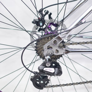 <span class=keywords><strong>BMX</strong></span> 29 Pouces en Chromoly 4130 pour Street et Wheelie, <span class=keywords><strong>avec</strong></span> Systèmes de Vitesses et Freins à Disque - Product Image 3