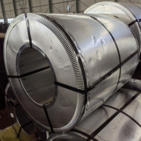 Vente directe usine – Bobine d'acier galvanisé à chaud 0,1 mm-1,0 mm, épaisseur personnalisée, bobine GI électrolytique